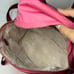 Kate Spade New York Nylon Leather-Trimmed Backpack