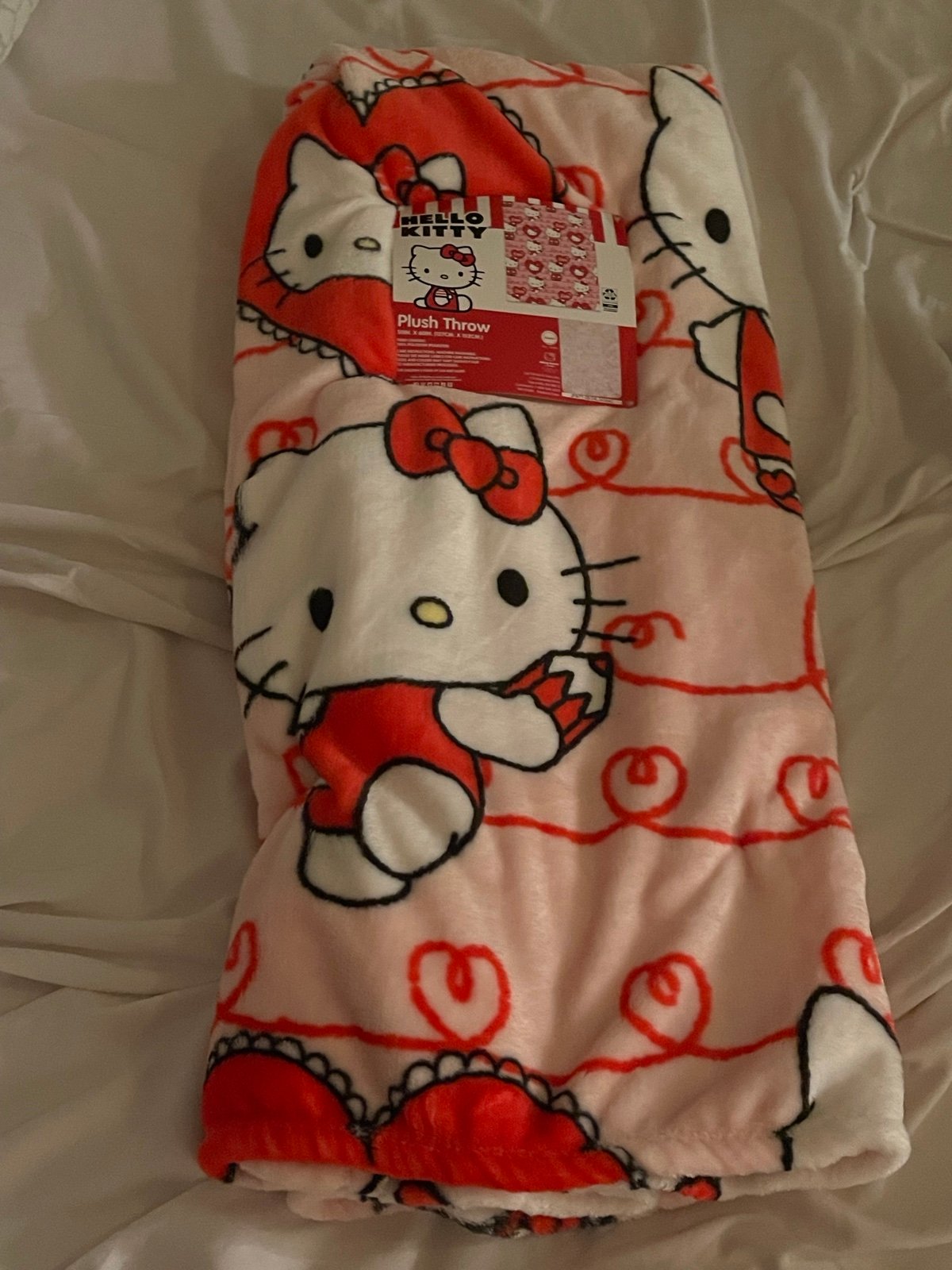 Hello Kitty Valentine's Throw Blanket Heart Love Pencil 50x70 Jay Franco Viral