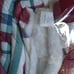 PREMIER COMFORT SIGNATURE Reversible Cotton Flannel to Faux Fur 3PC Comforter Se