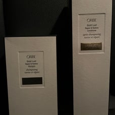 Oribe Gold Lust Repair Restore Shampoo 8 .5 fl oz & Conditioner 6.8 oz duo set