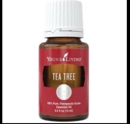 Young Living Essential Tea Tree Essential Oil