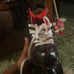 Cosmic skates