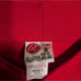 Red Lugnuts Baseball Jersey Size 2xl Pre-owned