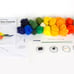 Needle Felted Sun Conure Kit and Tutorial