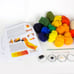 Needle Felted Sun Conure Kit and Tutorial