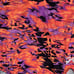 NWT GK gymnastics tumbling dance leotard orange purple metallic print sz AX