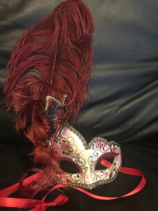 Venice carnival Face Mask