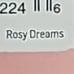 Rosy Dreams Owala Whole Foods Exclusive 40oz