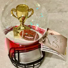 NEW Football snow globe, football trophy, football on a helmet base! Great gift!