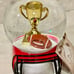 NEW Football snow globe, football trophy, football on a helmet base! Great gift!