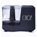 RAE DUNN MINI FOOD CHOPPER