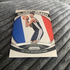 Panini Prizm basketball