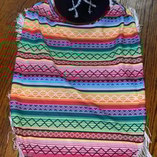 Mariachi Doggy Costume