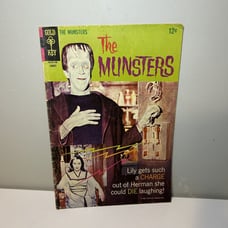 MUNSTERS (GOLD KEY) (1965 Series) #14 Photo Cover Low Print Vintage Nice Shape