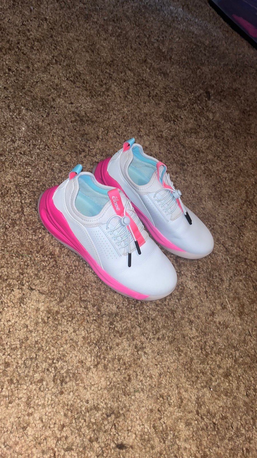 Clove sneakers