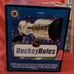 Rare Pittsburgh Penguins championship musical water globe