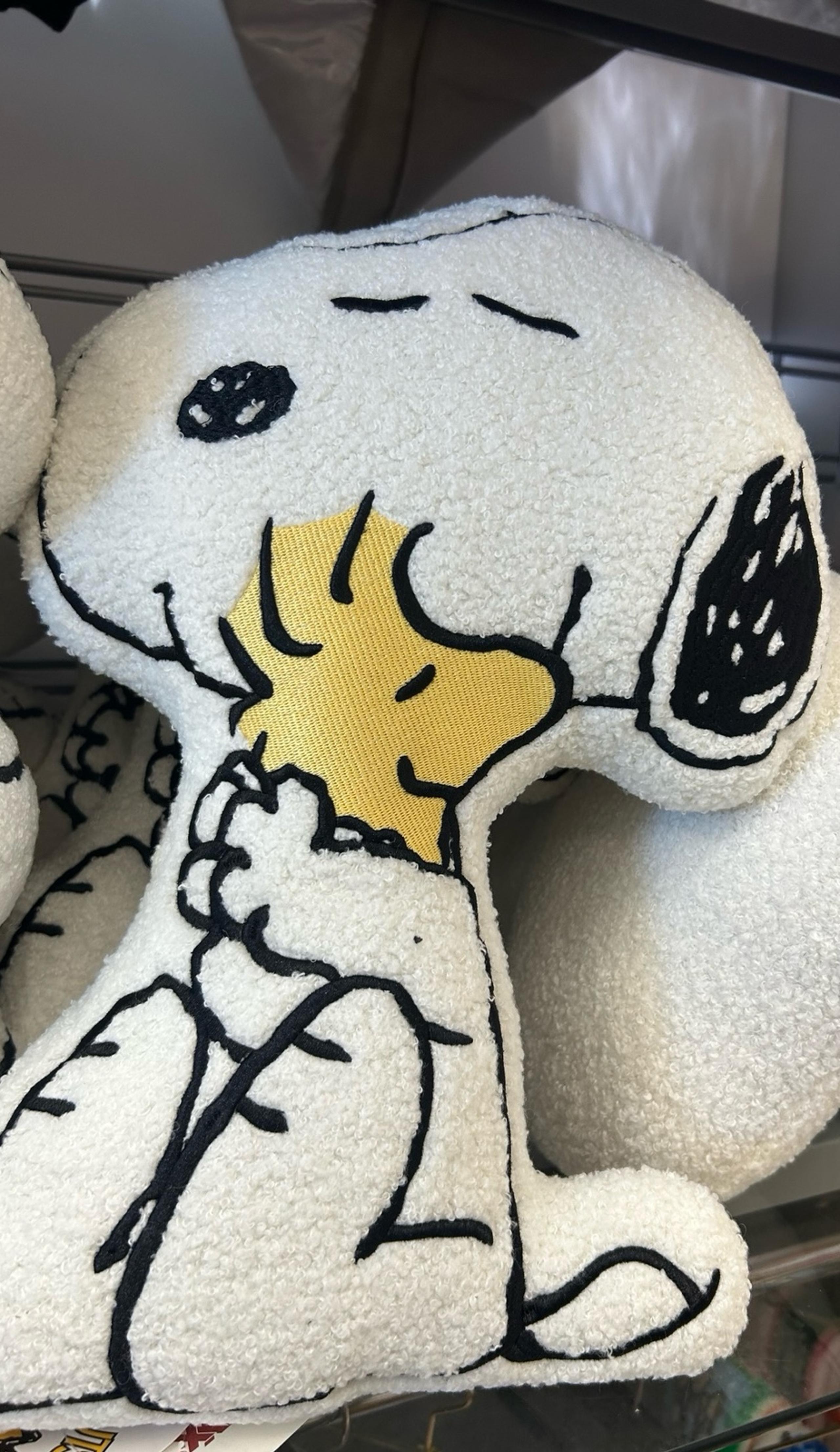 Snoopy decorative pillow with Woodstock nwt