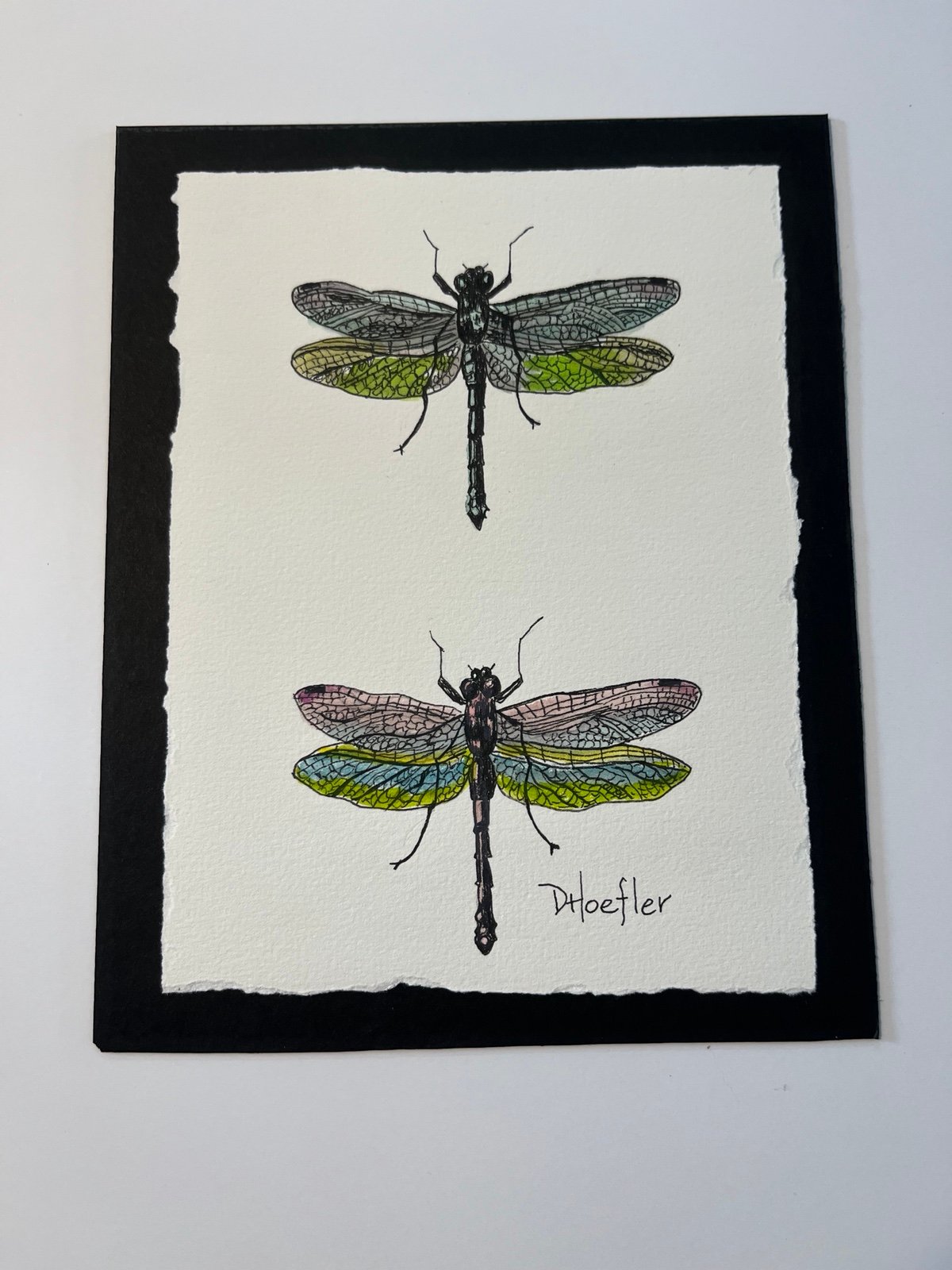 Dragonfly watercolor painting