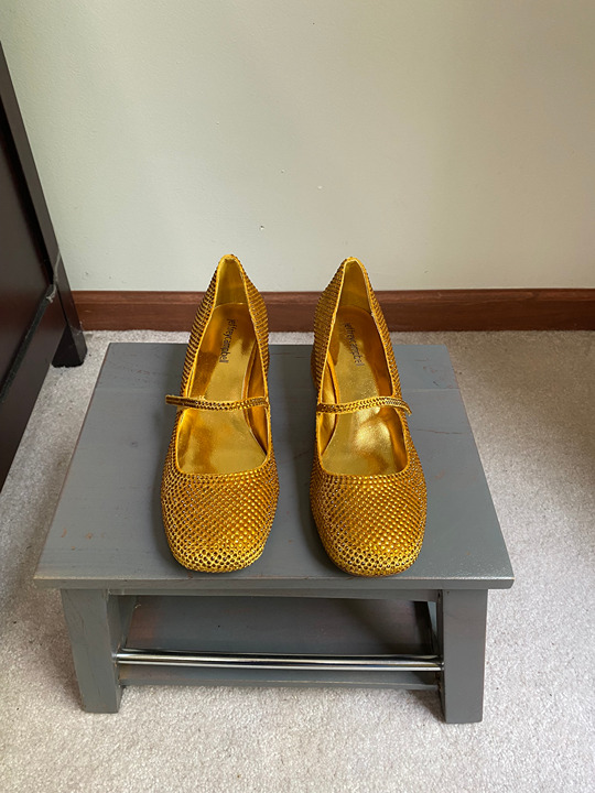 JEFFREY CAMPBELL Women Regal Glittery Crystals Mary Jane Pumps - NEW NWOB