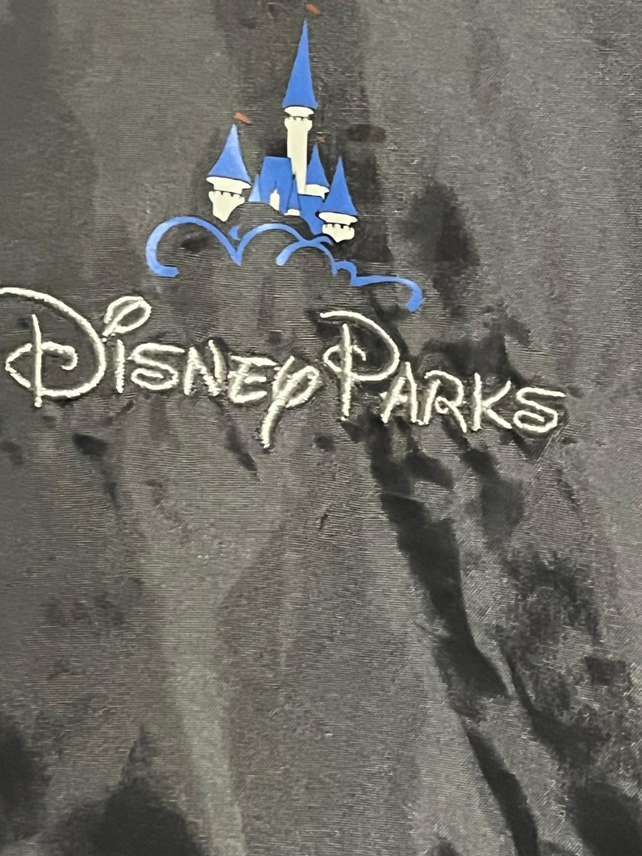 Disney Parks Adult Windbreaker Rain Jacket Disney World Packable Mens Medium