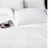 Bed in a Bag 5 Pieces Comforter Sets, All Season bedding Sets with Comforter