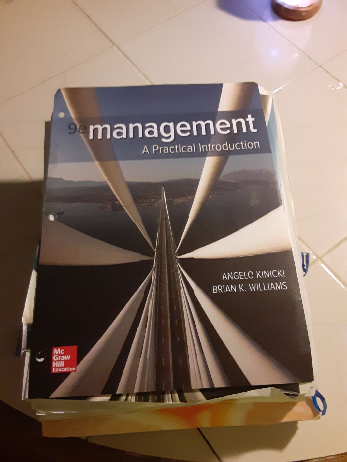 Business management 101 book