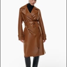 Aritzia tabloid trench