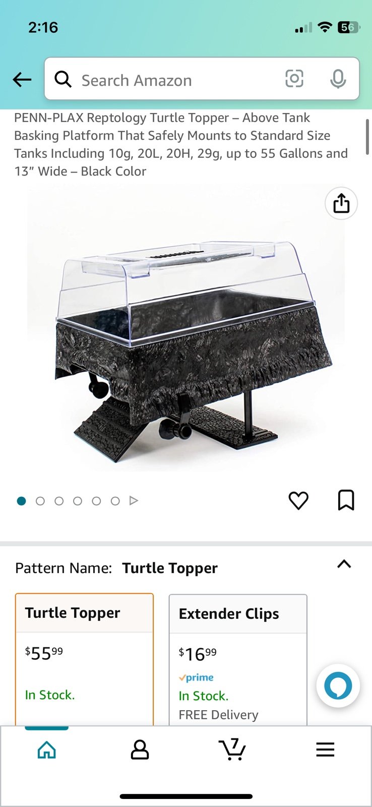 Turtle basking space