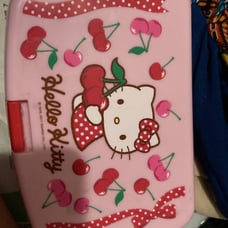 Hello Kitty case
