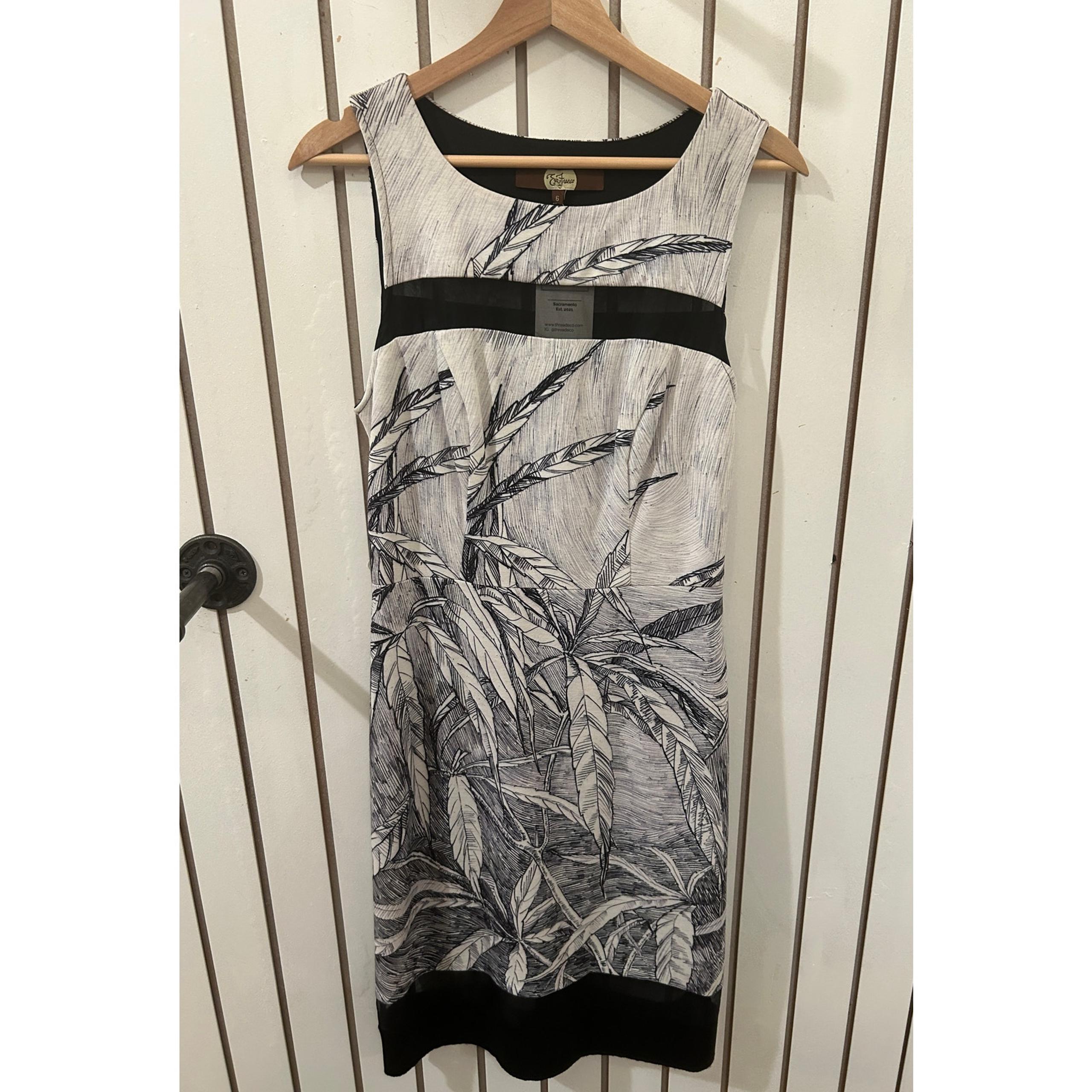 Eva Franco Dress Size 6