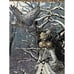 Nene Thomas Winter Fairy Owl Fantasy Art Tapestry Throw Blanket Approx 60 x50