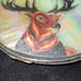Belt Buckle - Buck - Etched in Mother of Pearl - Metal Backing
