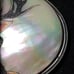 Belt Buckle - Buck - Etched in Mother of Pearl - Metal Backing
