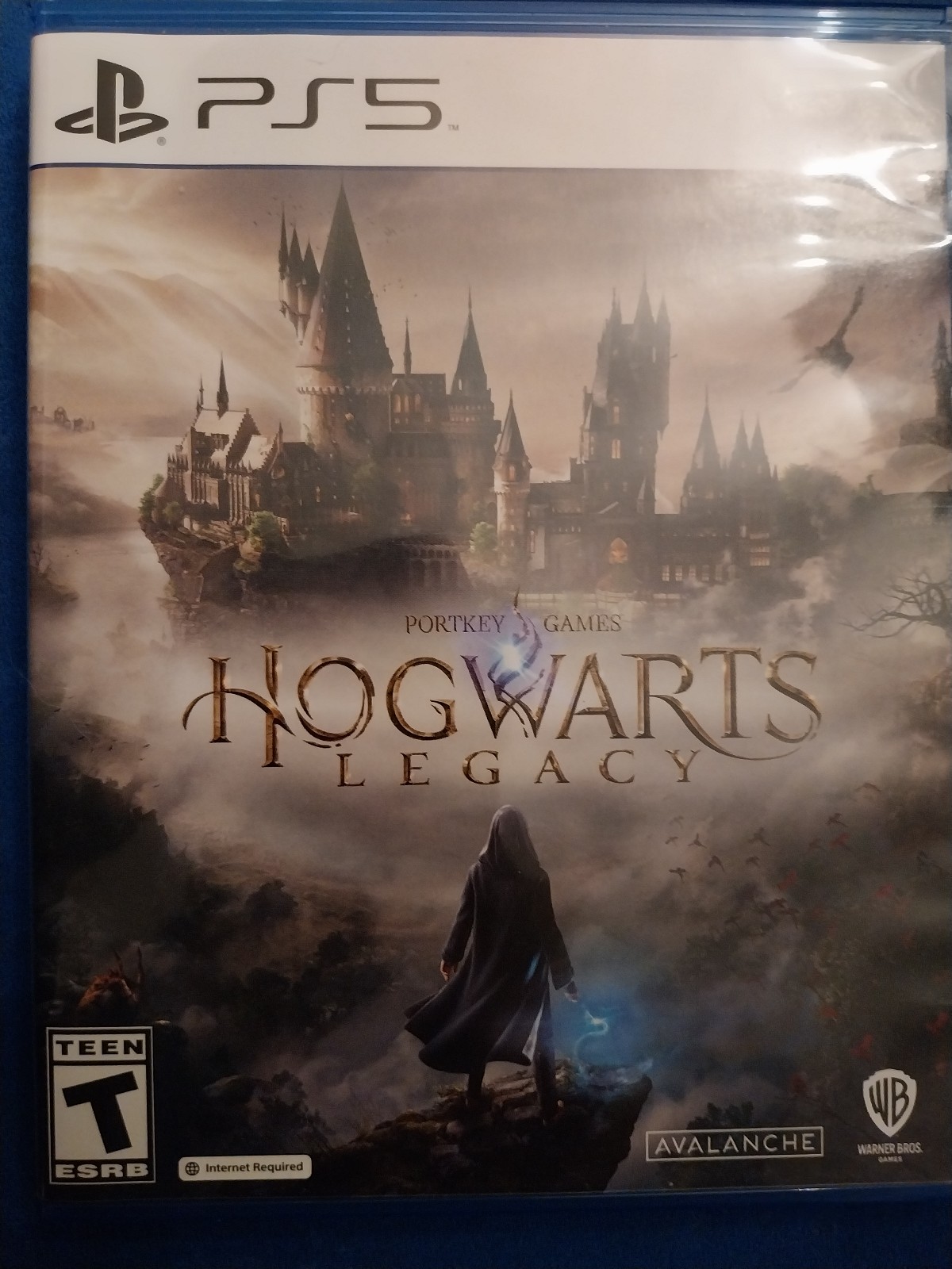 Hogwarts Legacy for Playstation 5