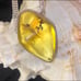 Baltic Amber Handmade vintage statement pendant with fossil