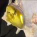 Baltic Amber Handmade vintage statement pendant with fossil
