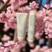 Paul Mitchell Clean Beauty Hydrate Shampoo Conditioner