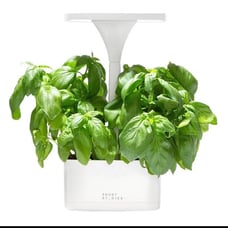 Short Stories LED Indoor Planter