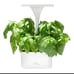Short Stories LED Indoor Planter