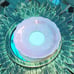 Petal tea cup with saucer