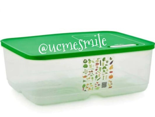 Tupperware Fridge Smart Fruit/Veggie Container Set