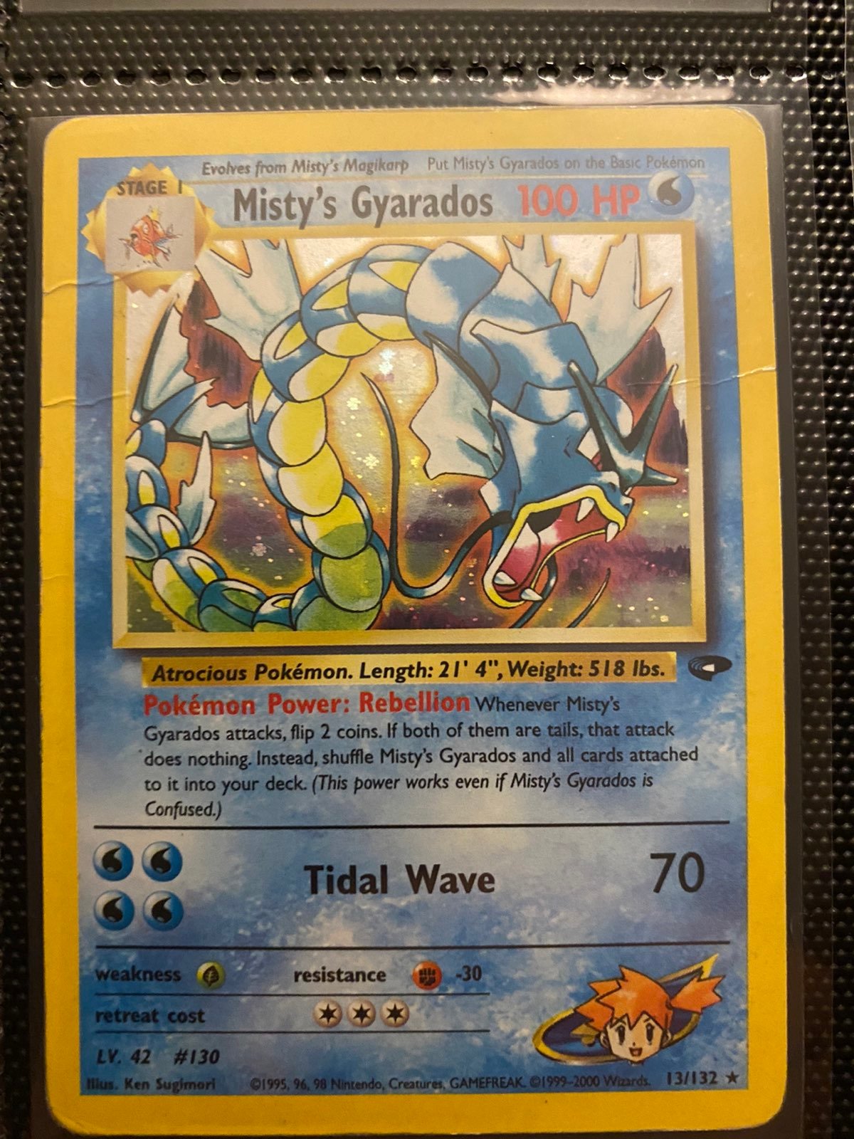 1995-2000 Gyarados 10/10 mint