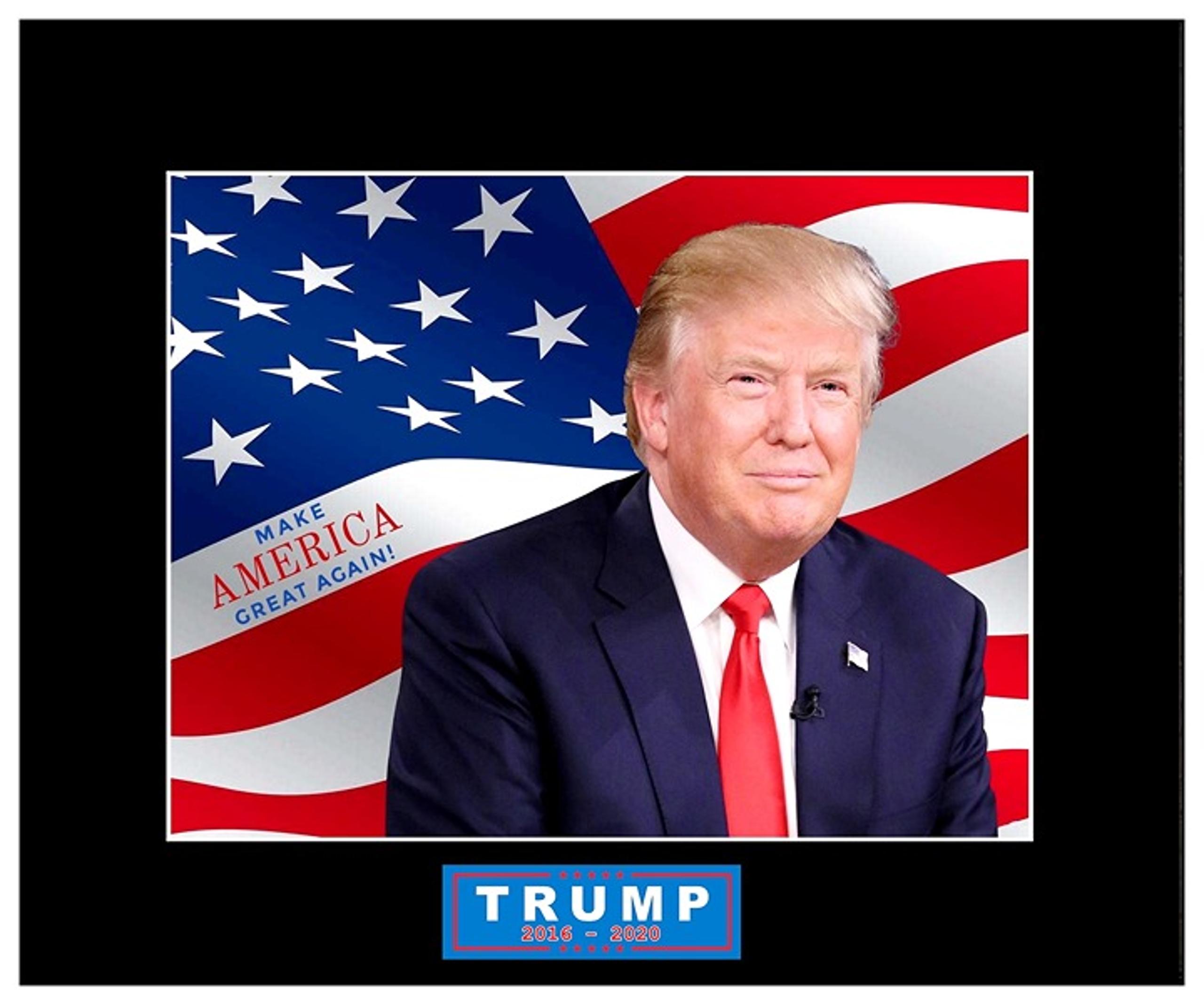 DONALD TRUMP : PRESIDENT Portrait Collage 11" x 14" Photo Mat