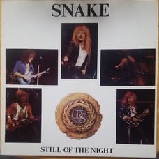 Whitesnake - Still Of the Night - (LP)