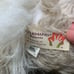 RARE Folkmanis 14” Glen Of Imaal Terrier Puppy Dog Full Body Plush Puppet