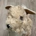 RARE Folkmanis 14” Glen Of Imaal Terrier Puppy Dog Full Body Plush Puppet