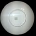 Vintage Shelley Black Oleander SAUCER Made in England Rare Replacement Piece