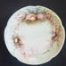 Antique 1898-1923 Jaeger & Company Plate