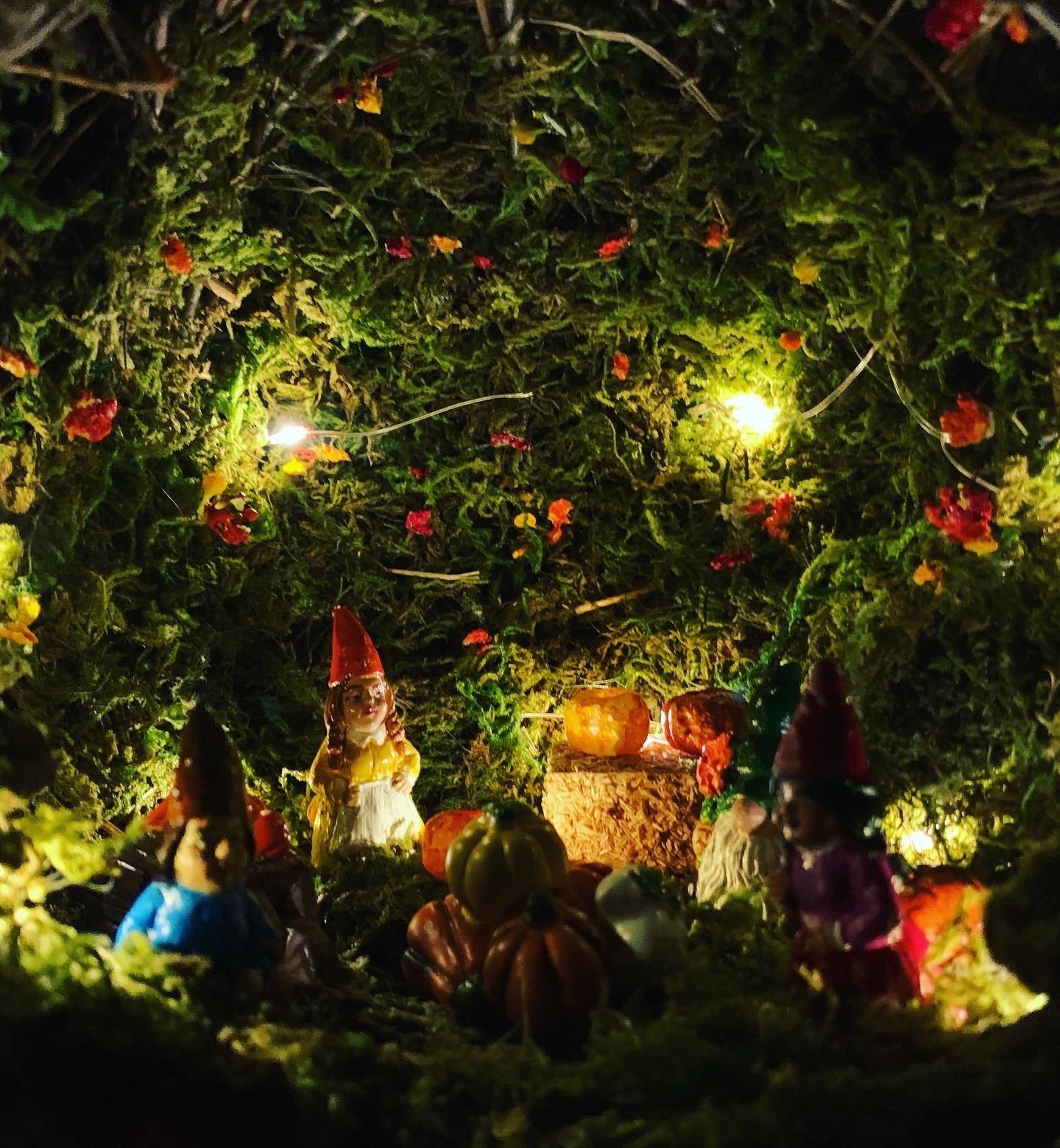 Gnomes at the pumpkin patch moss terrarium