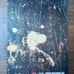 HALLOWEEN 30 YEARS OF TERROR Comic #1A Variant - Rare - MICHAEL MYERS - DDP - NM